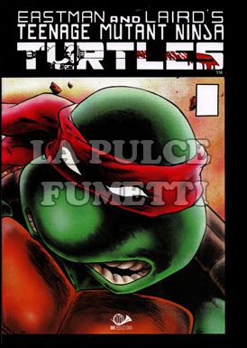 TEENAGE MUTANT NINJA TURTLES #     2
