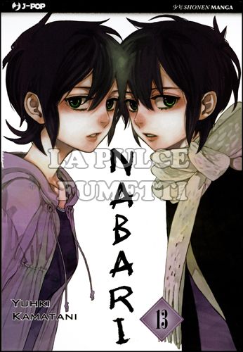 NABARI # 13