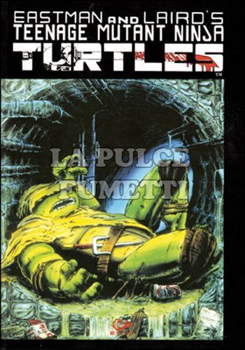TEENAGE MUTANT NINJA TURTLES #     4