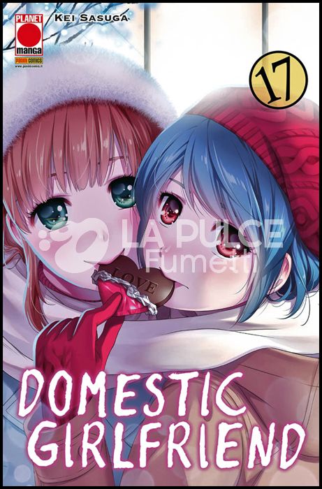 COLLANA JAPAN # 159 - DOMESTIC GIRLFRIEND 17