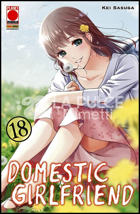 COLLANA JAPAN # 160 - DOMESTIC GIRLFRIEND 18