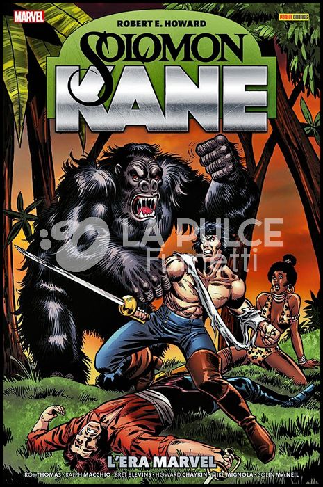 SOLOMON KANE OMNIBUS: L'ERA MARVEL