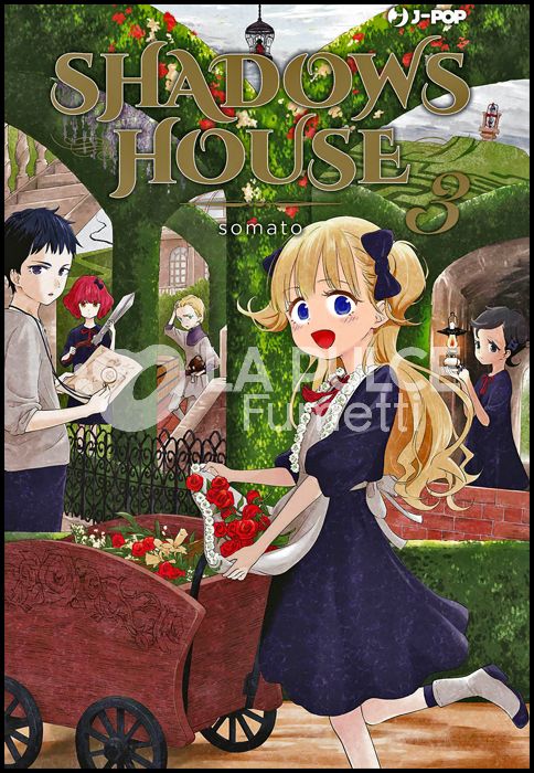 SHADOWS HOUSE #     3