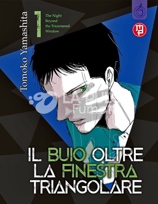 IL BUIO OLTRE LA FINESTRA TRIANGOLARE # 1