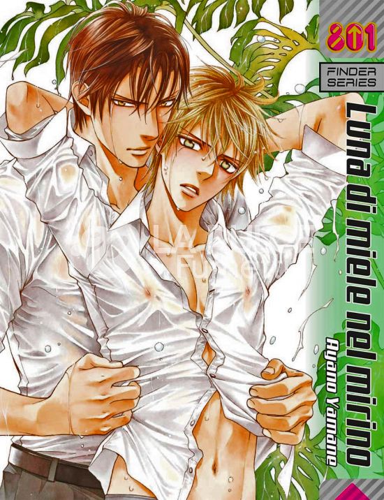 FINDER # 10: LUNA DI MILE NEL MIRINO - YOU'RE MY SHINING MOON IN VIEWFINDER - EDIZIONE DELUXE CON BOOKLET