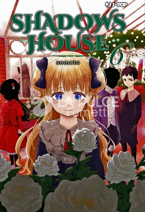 SHADOWS HOUSE #     6