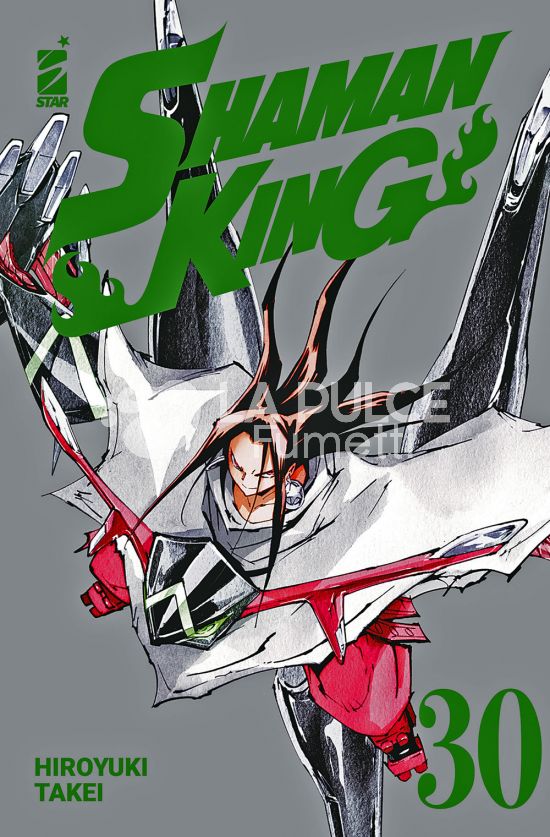 SHAMAN KING FINAL EDITION # 30