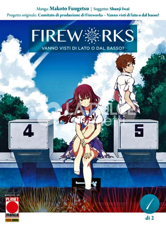 FIREWORKS - VANNO VISTI DI LATO O DAL BASSO? # 1
