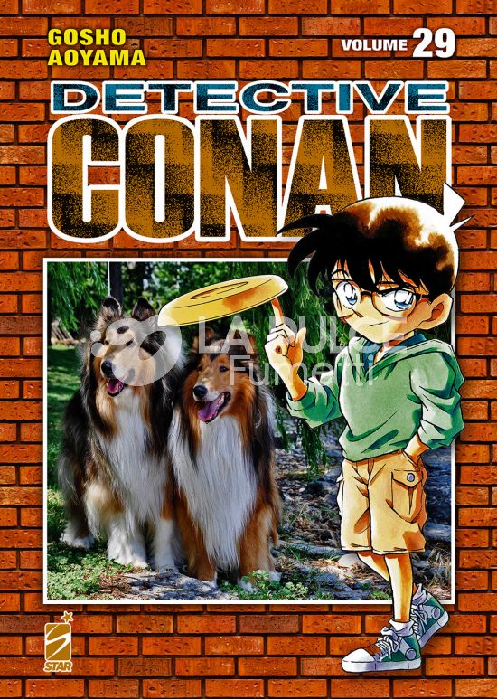 DETECTIVE CONAN NEW EDITION #    29