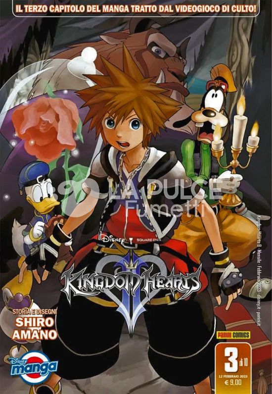 KINGDOM HEARTS # 9 - KINGDOM HEARTS II SILVER 3
