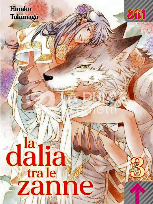 LA DALIA TRA LE ZANNE # 3