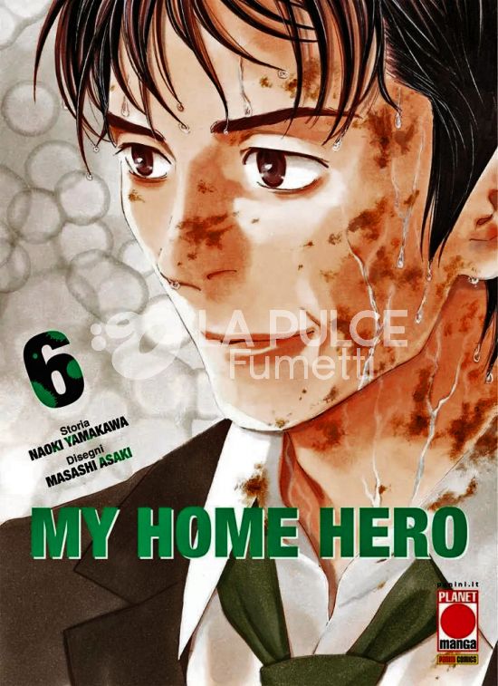 MY HOME HERO # 6