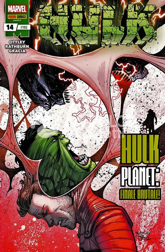 HULK E I DIFENSORI # 102 - HULK 14