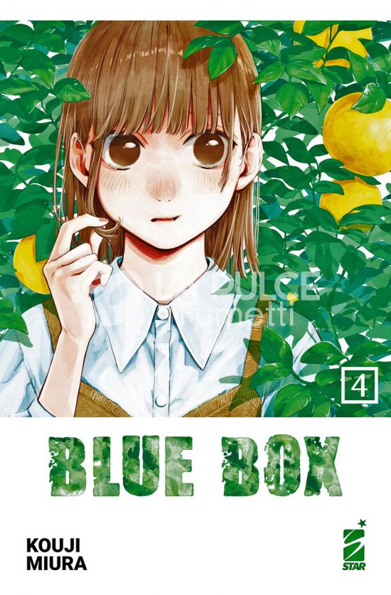UP #   224 - BLUE BOX 4