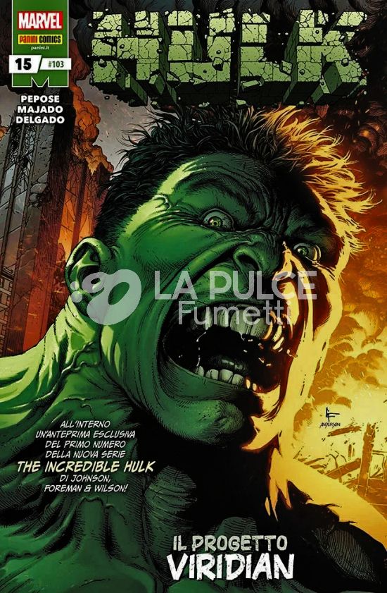 HULK E I DIFENSORI # 103 - HULK 15