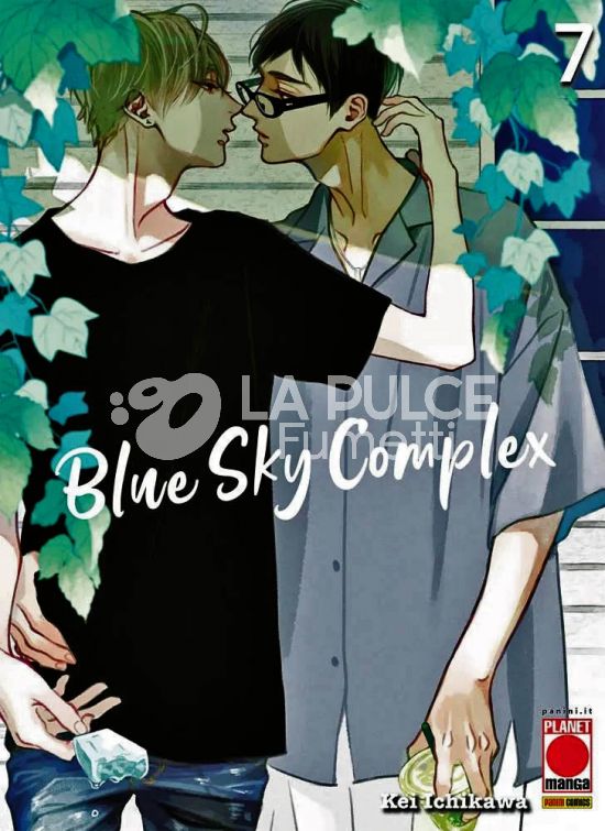 BLUE SKY COMPLEX # 7