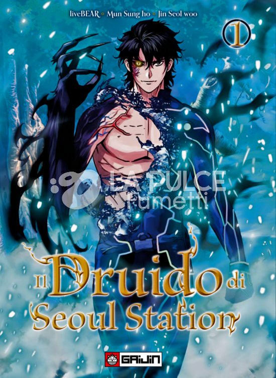 IL DRUIDO DI SEOUL STATION # 1