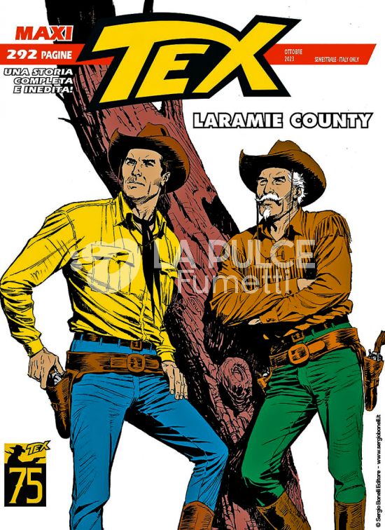 TEX MAXI # 33: LARAMIE COUNTY