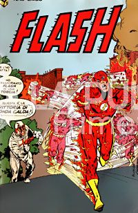 FLASH #    13