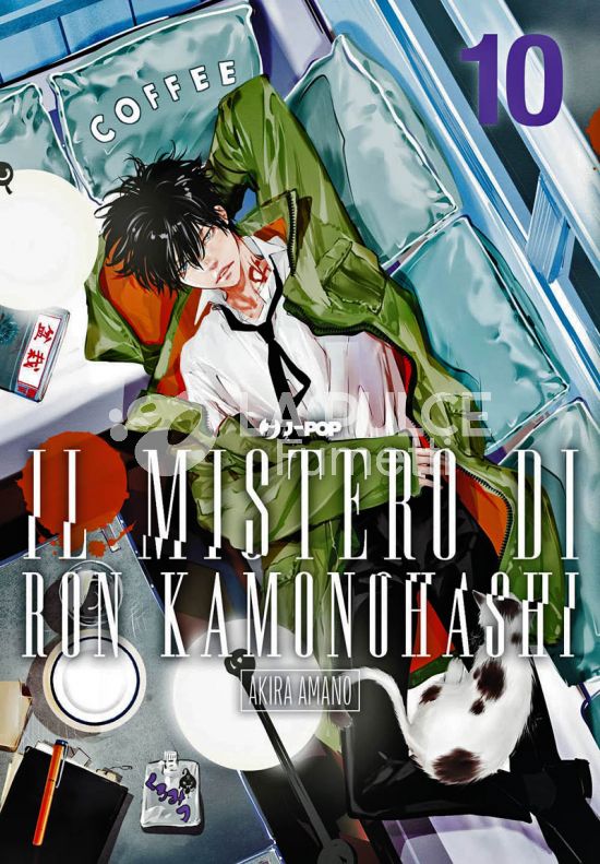 IL MISTERO DI RON KAMONOHASHI # 10