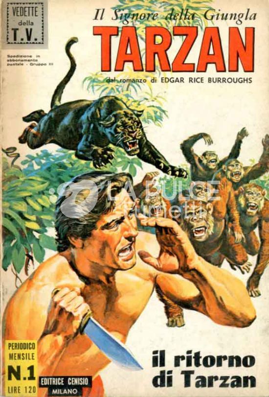 TARZAN 1A SERIE  #    1: IL RITORNO DI TARZAN