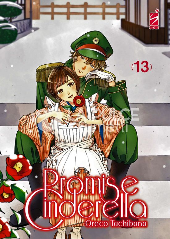 AMICI # 323 - PROMISE CINDERELLA 13