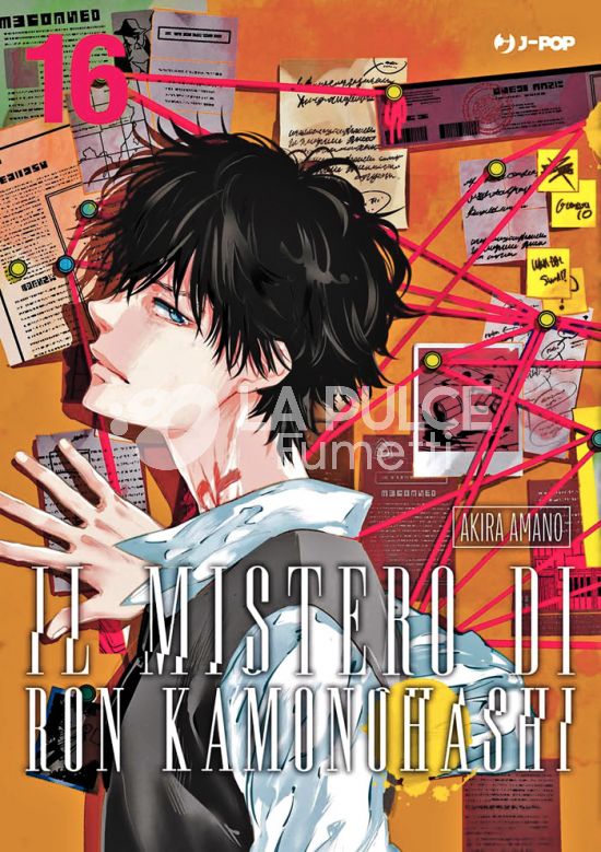 IL MISTERO DI RON KAMONOHASHI # 16