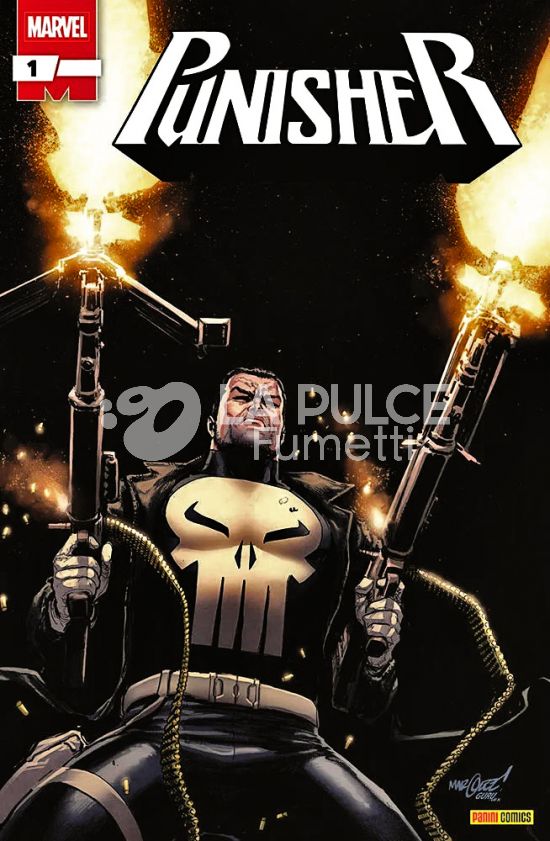 PUNISHER - 2A SERIE #     1